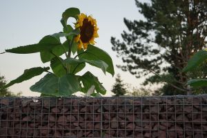 Aufbauteam Gabionen – Aufbauteam. Aufbauteam Gabionen