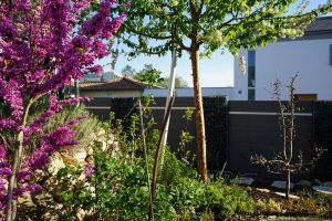 Gabionen und Komposit – WPC-zaun mit Gabionen. Gabionen und Komposit