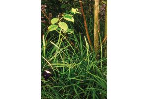 Inspirationsfoto mit LED-Beleuchtung – Gabionen LED beleuchtung