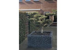 Gabionen Hochbeet – Gabionen Hochbeet