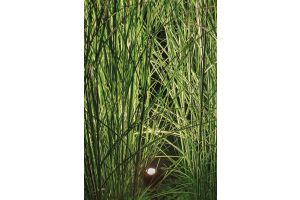 Inspirationsfoto mit LED-Beleuchtung – Gabionen LED beleuchtung