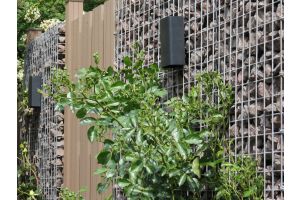 Inspirationsfoto mit LED-Beleuchtung – Gabionen LED beleuchtung