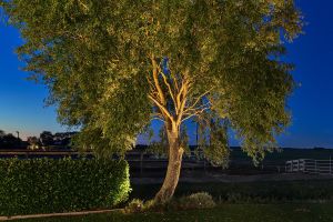 Inspirationsfoto mit LED-Beleuchtung – Gabionen LED beleuchtung