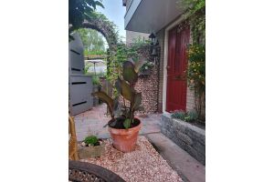 Gabionen mit Tür – Gabionen. Gabionen mit Tür