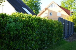 Aufbauteam WPC – Aufbauteam WPC. Aufbauteam WPC