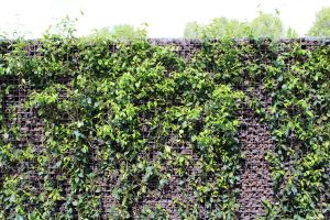 Gabionen Aufbau – Aufbauteam. Gabionen Aufbau