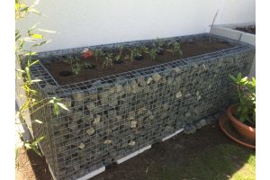 Gabionen Hochbeet – Gabionen Hochbeet