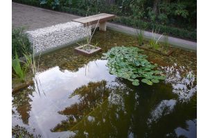 Gabione Gartenteich Sitzbank – Gabionenbank. Gabione Gartenteich Sitzbank