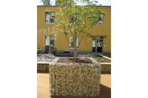 Gabionen Hochbeet – Gabionen Hochbeet