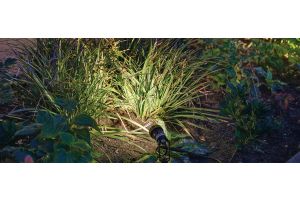 Inspirationsfoto mit LED-Beleuchtung – Gabionen LED beleuchtung