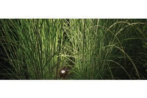 Inspirationsfoto mit LED-Beleuchtung – Gabionen LED beleuchtung