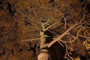 Inspirationsfoto mit LED-Beleuchtung – Gabionen LED beleuchtung