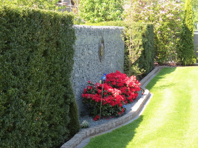 Gabionenwand mit Kletterrosen bepflanzt